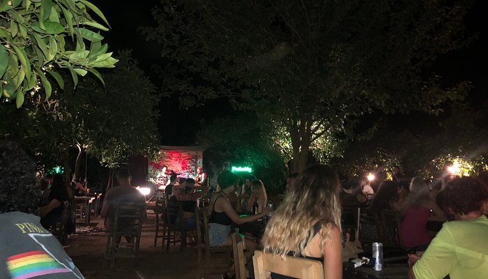 Cactus Olympos - Reggae bar