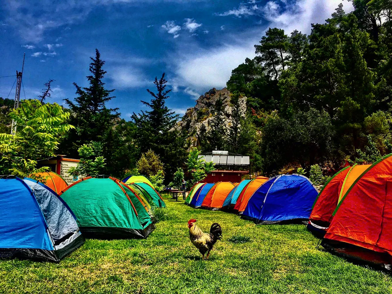 Korsan Camping Olympos çadır kamp alanı
